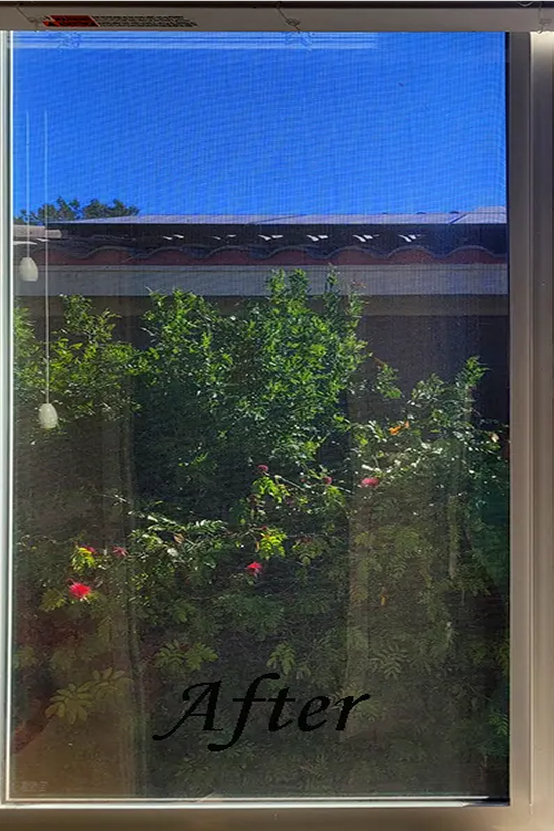 Bright garden visible through the window